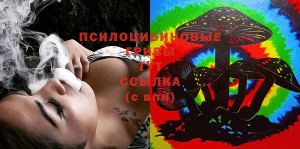 бошки Нестеровская